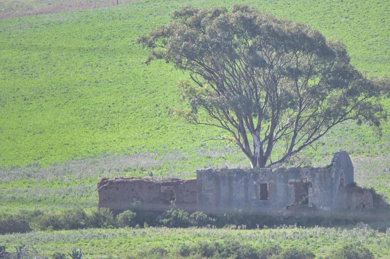 Old Sam'S Cottage Bredasdorp Extérieur photo